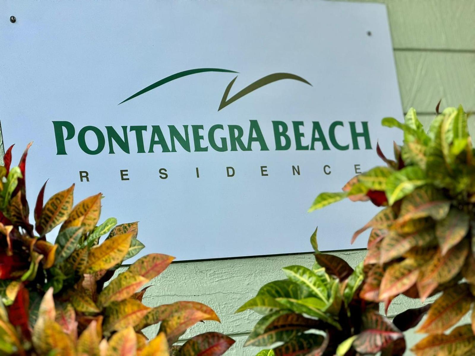 Edy Hospedagens Beira-Mar Flat 310 Com Vista Para O Morro Do Careca, Piscina E Localizacao Privilegiada ناتال المظهر الخارجي الصورة